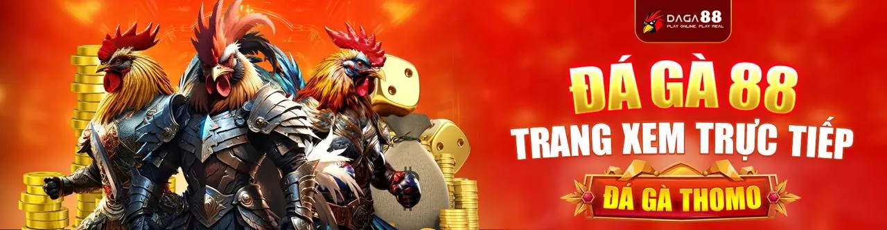 Hình ảnh minh họa chính sách cookie và bảo mật dữ liệu tại hi88vip6 link vào