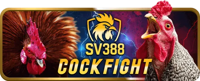 Bàn Baccarat Trực Tuyến với Dealer Người Thật tại Hi88vip6 Link Vào